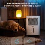 Cecotec Bigdry vs Pro Breeze