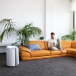 deshumidificador cecotec BigDry 9000