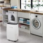 deshumidificadores rowenta