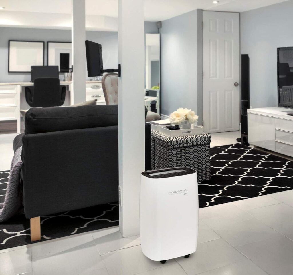 deshumidificadores rowenta
