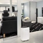 deshumidificadores rowenta